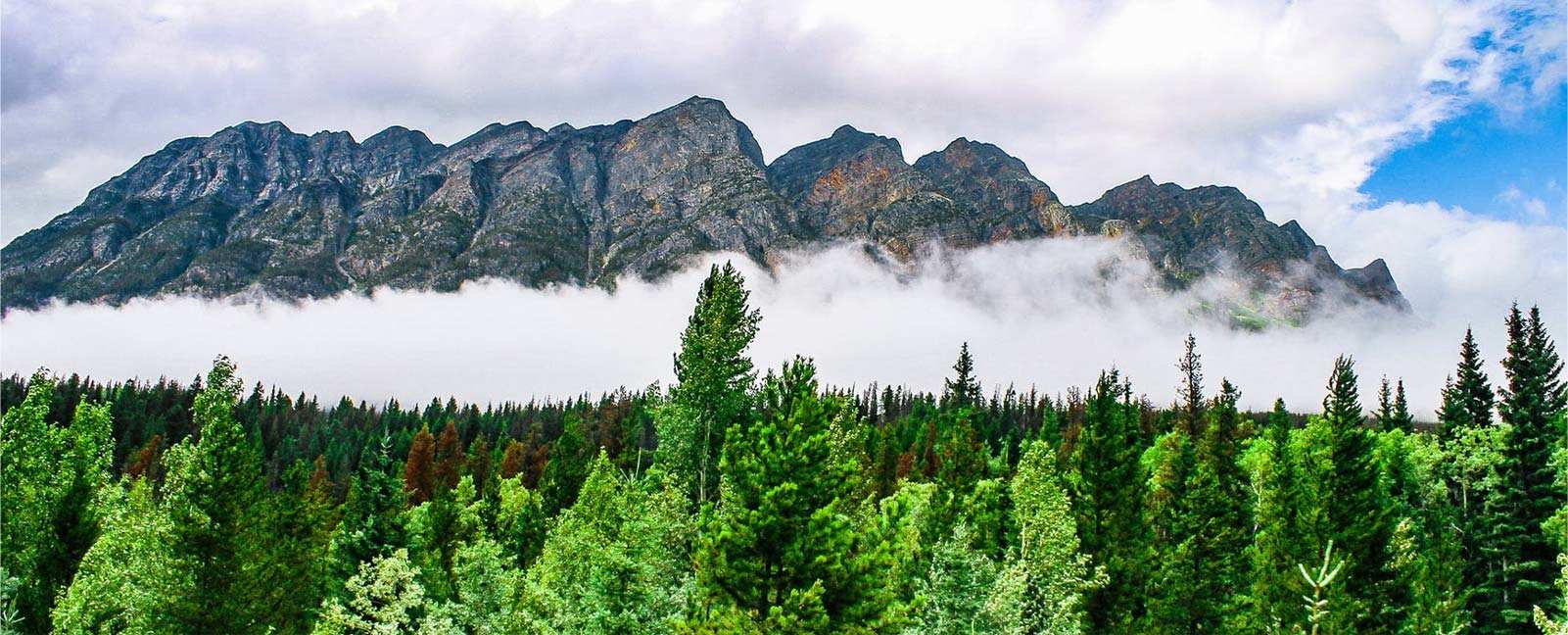 Zhejiang Zhongli Tecnologia dei materiali sintetici Co., Ltd.